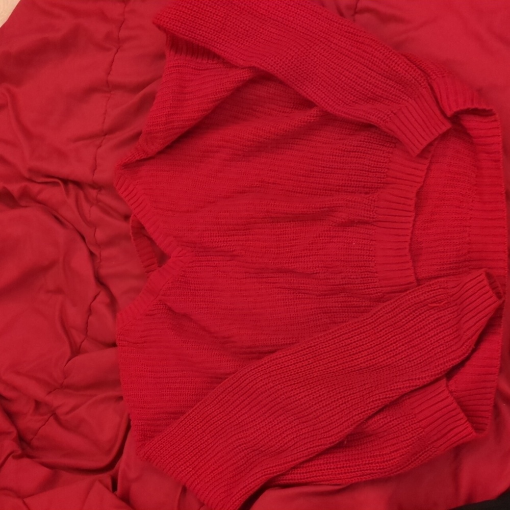 Wild Fable V-Neck Red Sweater